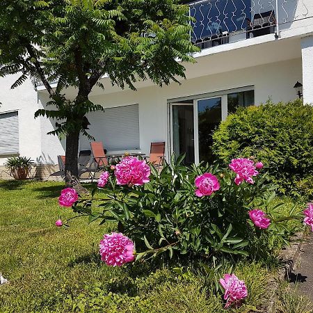 Appartement Rauszeit-Toroni à Niedenstein Extérieur photo